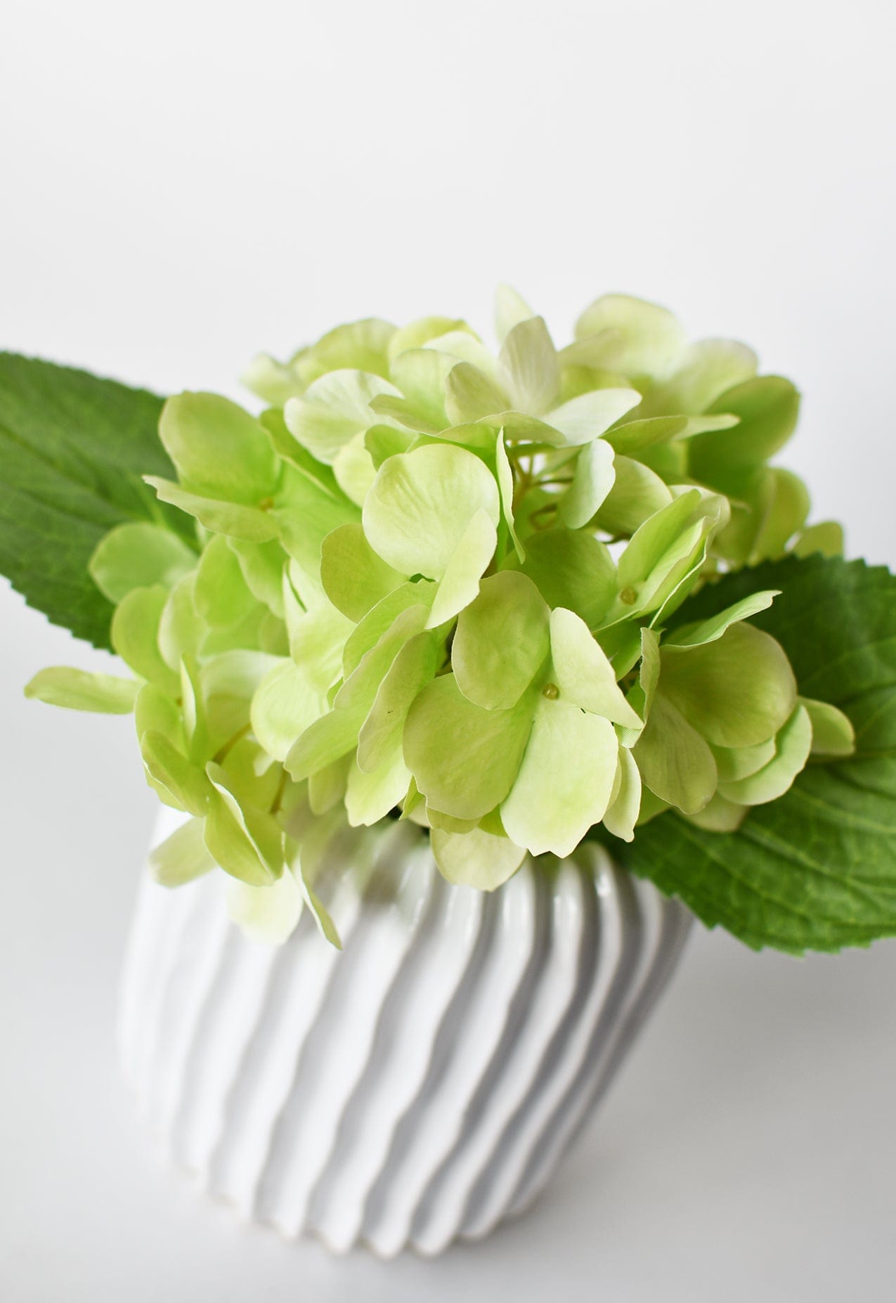 Hydrangea Stem, 10", Green