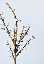 Load image into Gallery viewer, White Berry Stem, 14&quot;
