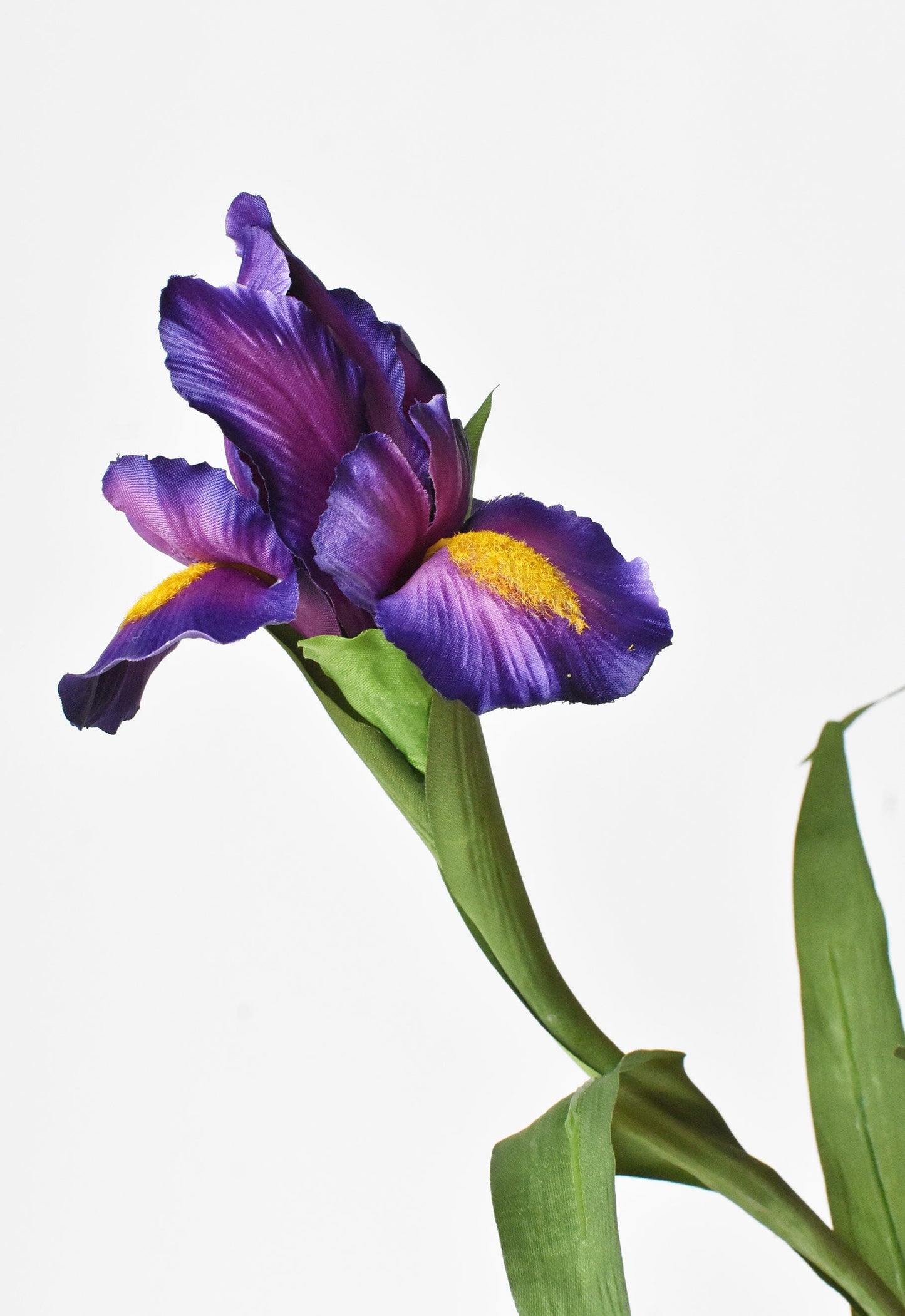 Purple Iris Stem, 28"