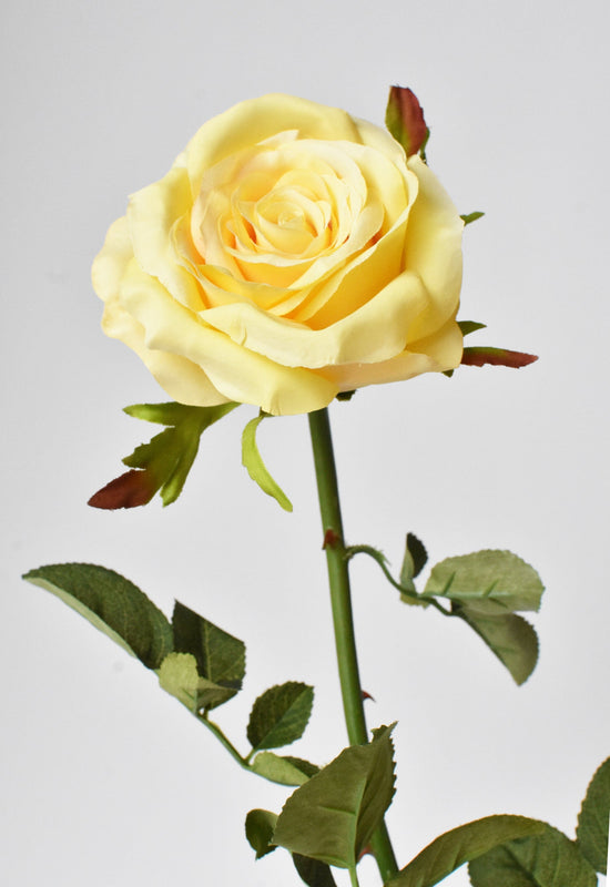 Open Garden Rose Stem, 27", Yellow
