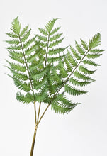 Load image into Gallery viewer, Forest Fern Stem Bundle, 22&quot;
