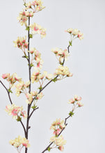 Load image into Gallery viewer, 36&quot; Faux Quince Blossom Apricot Cream Stem Flowering Branch
