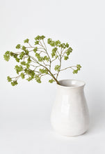 Load image into Gallery viewer, Soft Green Sedum Berry Stem, 16&quot;
