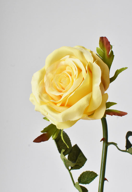 Open Garden Rose Stem, 27", Yellow