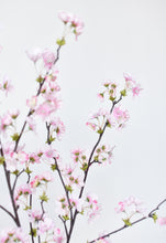 Load image into Gallery viewer, 36&quot; Faux Quince Blossom Pink Stem Flowering Branch
