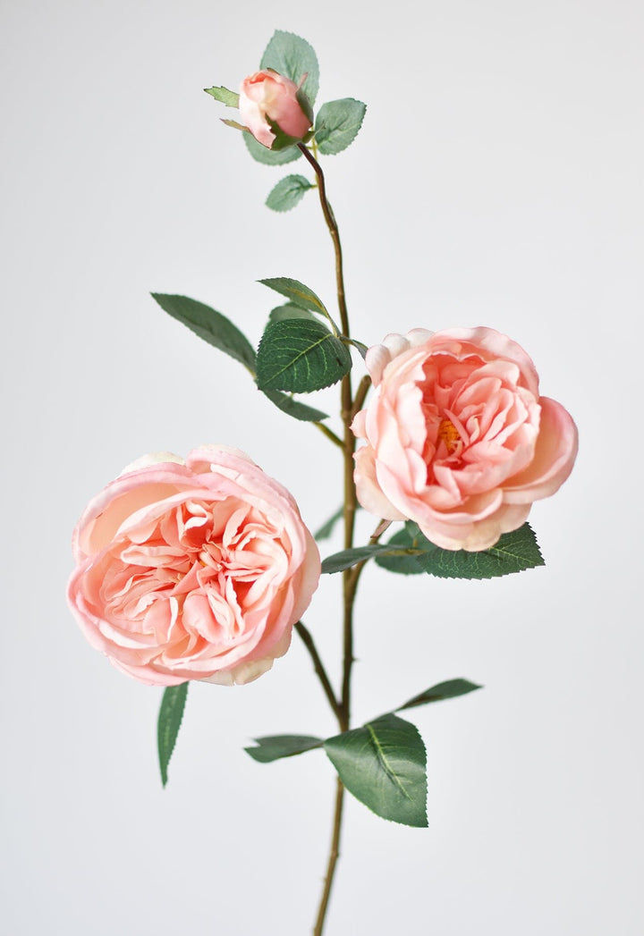 Cabbage Rose Stem, 29", Peach Pink