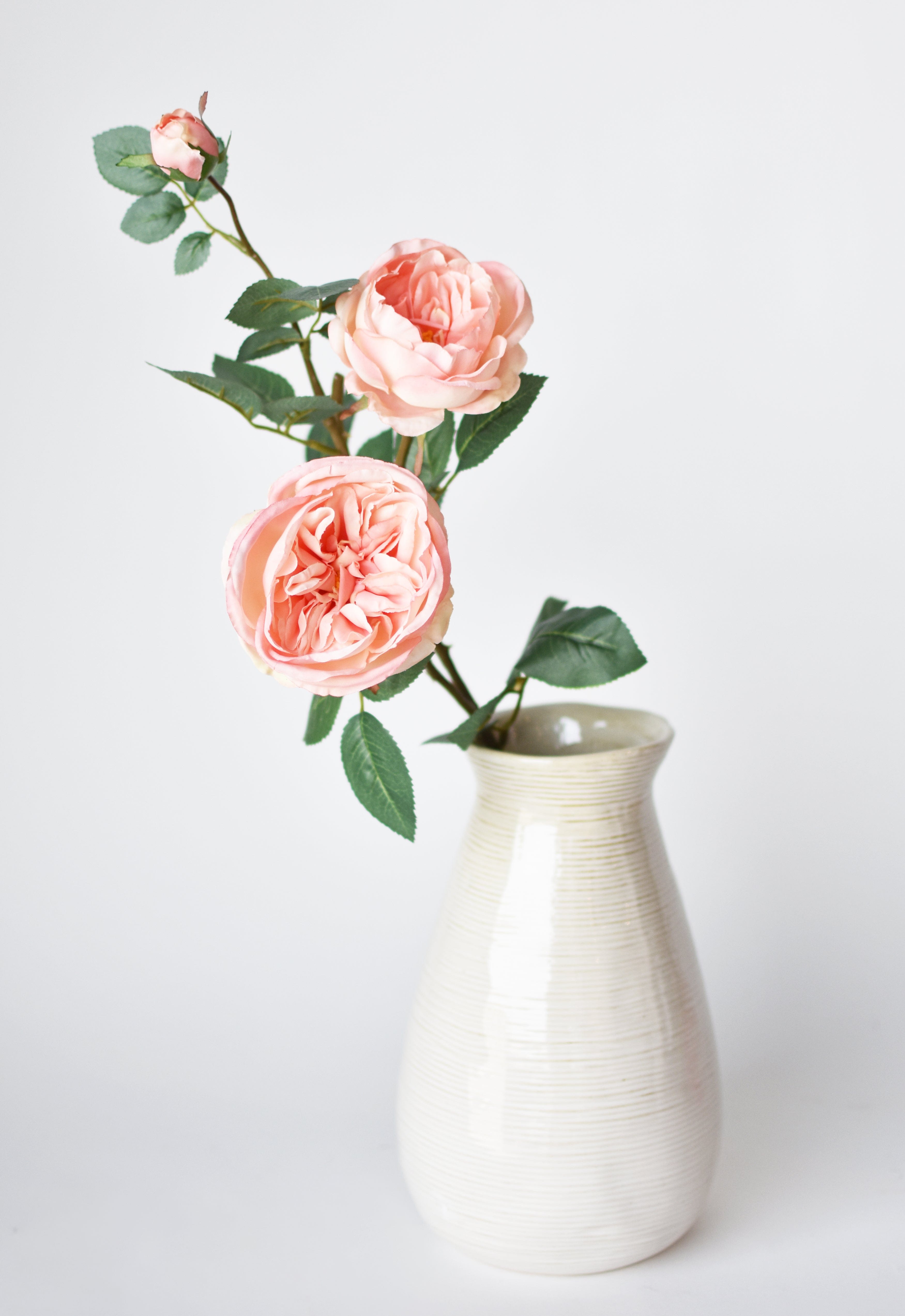 Cabbage Rose Stem, 29", Peach Pink
