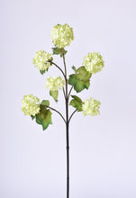 Load image into Gallery viewer, Snowball Hydrangea Stem, 30&quot;, Green
