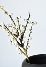 Load image into Gallery viewer, White Berry Stem, 14&quot;
