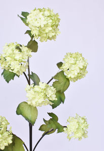 Snowball Hydrangea Stem, 30", Green