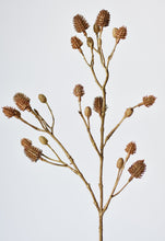 Load image into Gallery viewer, Brown Thistle Spray Stem, 22&quot;
