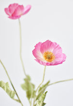 Load image into Gallery viewer, 24&quot; Faux Pink Poppy Stem
