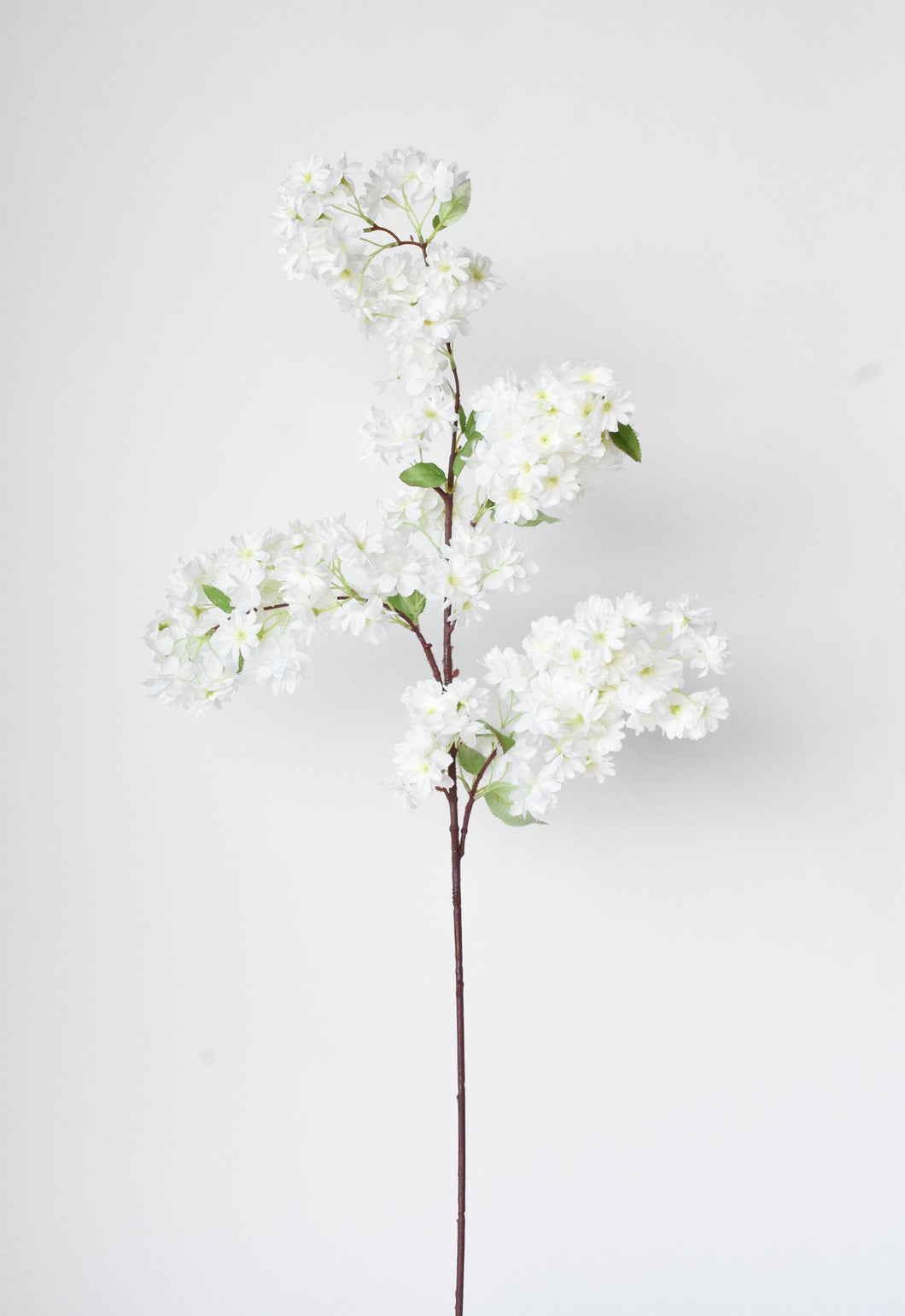 Cherry Blossom Branch Stem Cream, 40