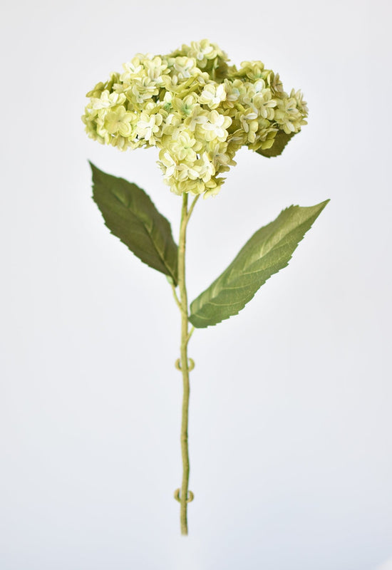 Hydrangea Stem, 25”, Apple Green