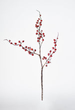 Load image into Gallery viewer, Iced Berry Stem, 29&quot;, Red
