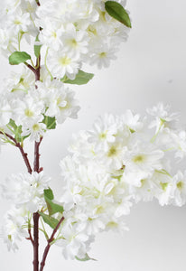 Cherry Blossom Branch Stem Cream, 40"