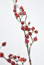 Load image into Gallery viewer, 29&quot; Faux Iced Red Berry Stem
