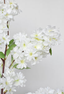 Cherry Blossom Branch Stem Cream, 40"