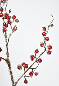29" Faux Iced Red Berry Stem