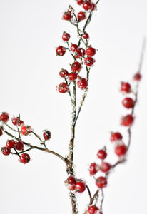 Iced Red Berry Stem, 29"