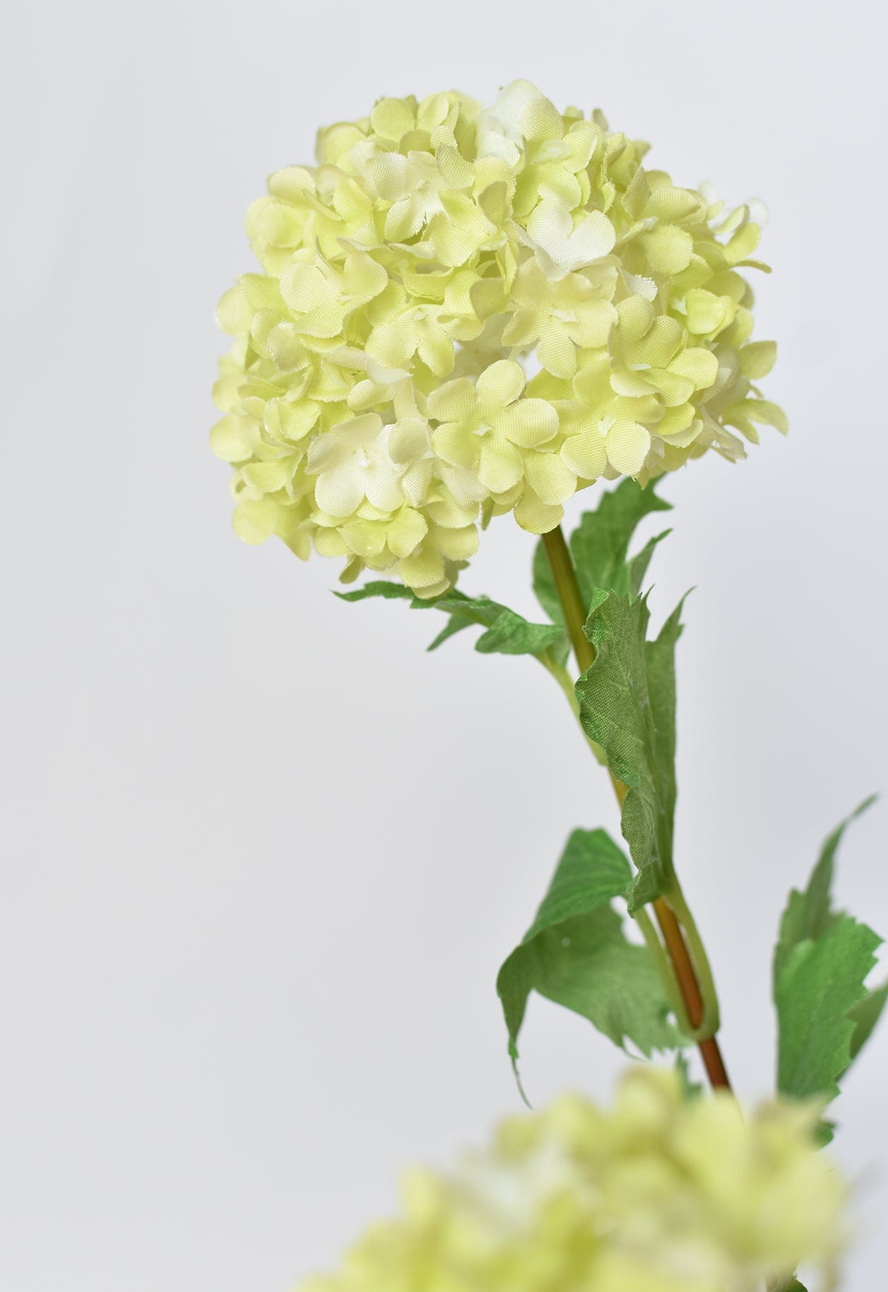 Snowball Hydrangea Stem, 29", Green & White