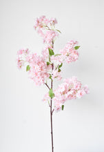 Load image into Gallery viewer, Cherry Blossom Branch, 40&quot;, Pink

