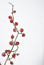 Load image into Gallery viewer, Iced Red Berry Stem, 29&quot;
