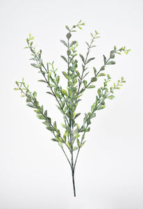 Frosted Boxwood Greenery Stem, 23"