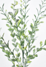 Load image into Gallery viewer, Frosted Boxwood Greenery Stem, 23&quot;
