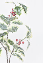 Load image into Gallery viewer, 28&quot; Faux Winter Holly Stem
