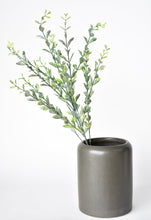 Load image into Gallery viewer, Frosted Boxwood Greenery Stem, 23&quot;
