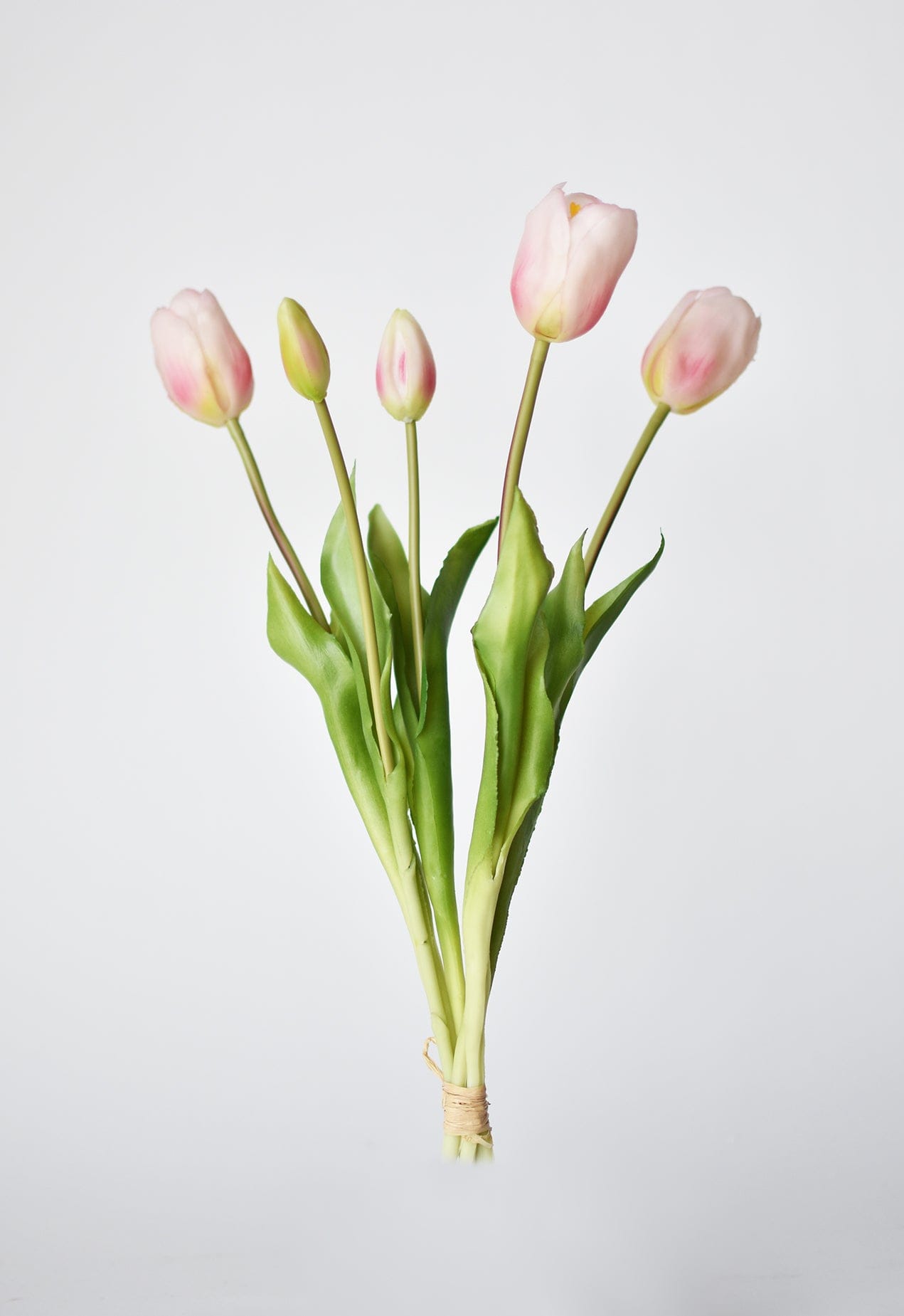 Tulip Stem Bundle, 18", Blush Pink