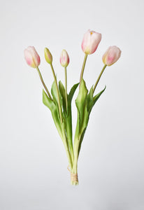 Tulip Stem Bundle Blush Pink, 18"