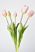 Load image into Gallery viewer, Tulip Stem Bundle Blush Pink, 18&quot;
