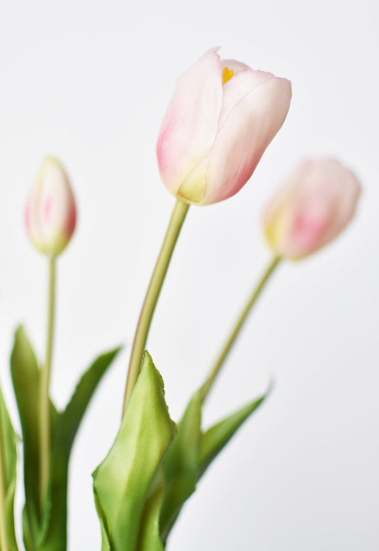 Tulip Stem Bundle, 18", Blush Pink