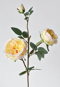 Cabbage Rose Stem, Apricot Yellow, 29"