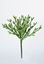 Load image into Gallery viewer, Green Pencil Cactus Stem Succulent, 13&quot;
