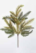 Load image into Gallery viewer, Pine Stem, 18&quot;
