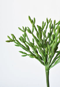Green Pencil Cactus Stem Succulent, 13"
