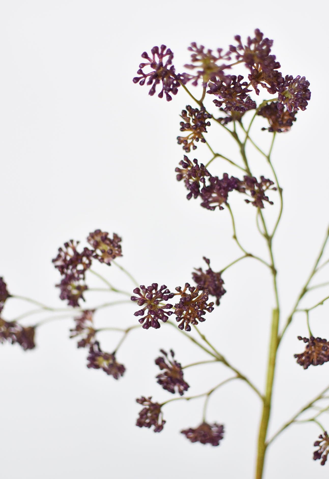 Sedum Berry Stem, 16", Purple, Real Touch