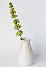 Load image into Gallery viewer, Bells of Ireland Stem Green, 29&quot;
