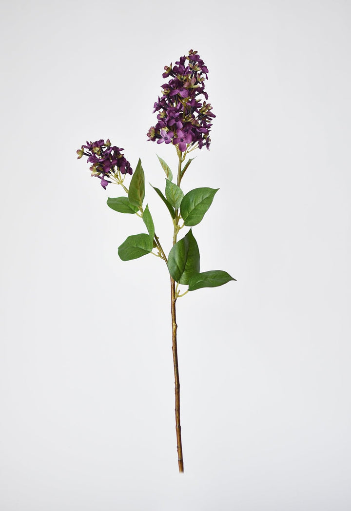 English Lilac Stem, 28.5", Dark Purple
