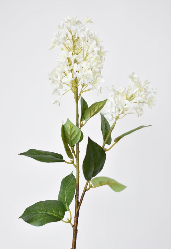 English Lilac Stem, 28.5", White