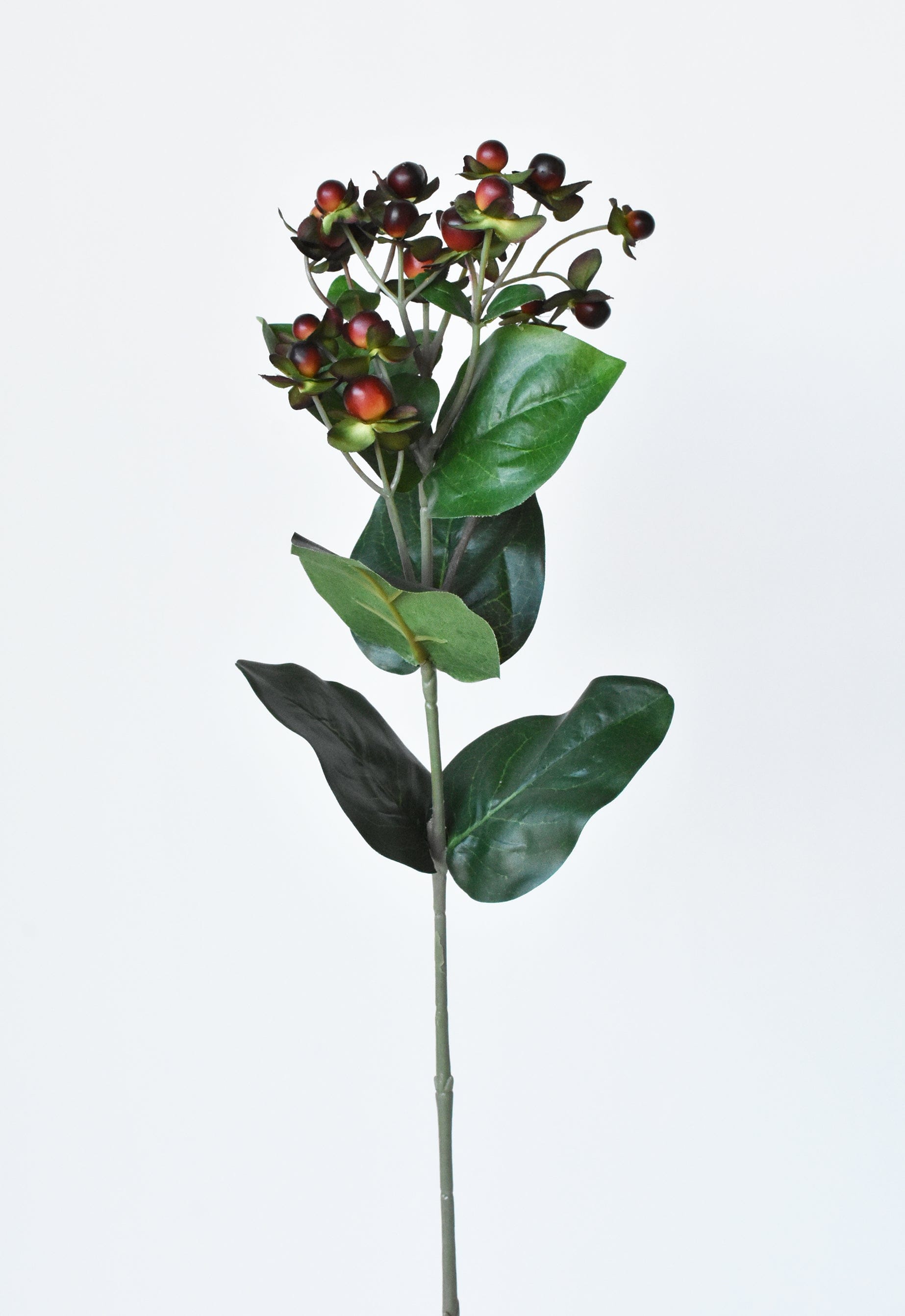 Hypericum Berry Spray, 27.5", Burgundy