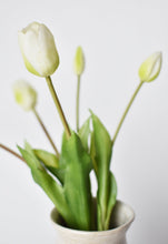 Load image into Gallery viewer, Tulip Stem Bundle White Green, 18&quot;
