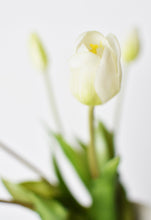 Load image into Gallery viewer, Tulip Stem Bundle White Green, 18&quot;
