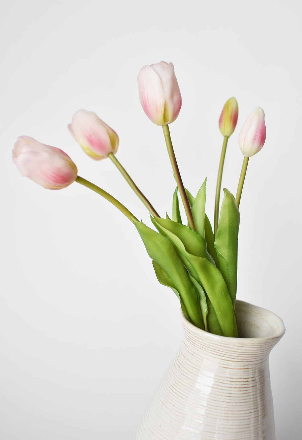 Tulip Stem Bundle Blush Pink, 18