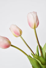 Load image into Gallery viewer, Tulip Stem Bundle Blush Pink, 18&quot;
