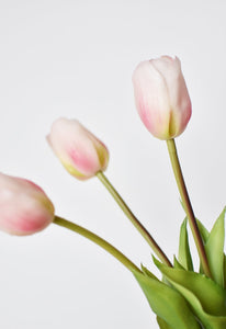Tulip Stem Bundle Blush Pink, 18"