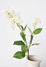 Load image into Gallery viewer, 28.5&quot; Faux White English Lilac Stem
